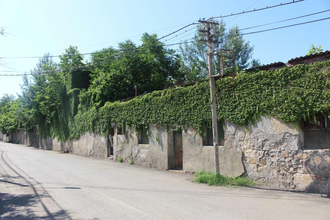 Zarzma Hotel Koetaisi Buitenkant foto