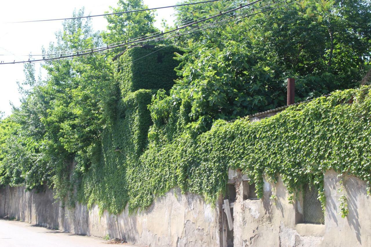 Zarzma Hotel Koetaisi Buitenkant foto